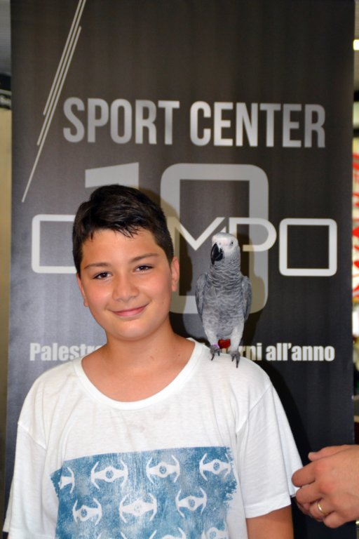 palestraolimpolandia244.jpg