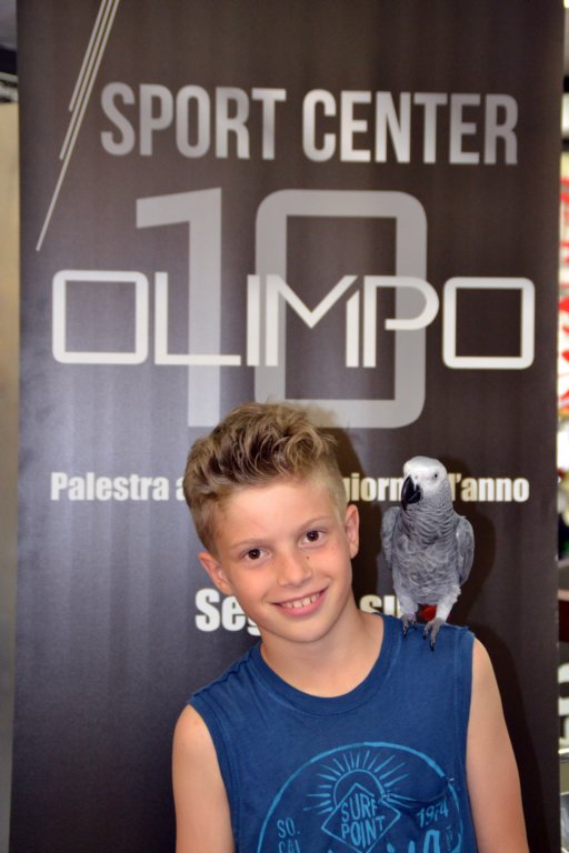 palestraolimpolandia246.jpg