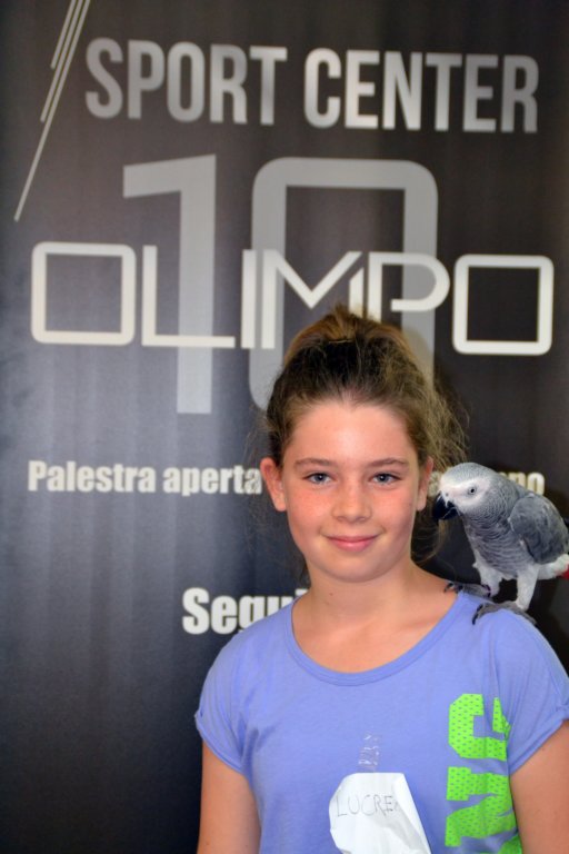 palestraolimpolandia250.jpg