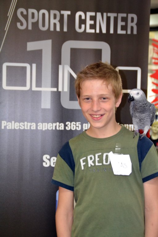 palestraolimpolandia251.jpg