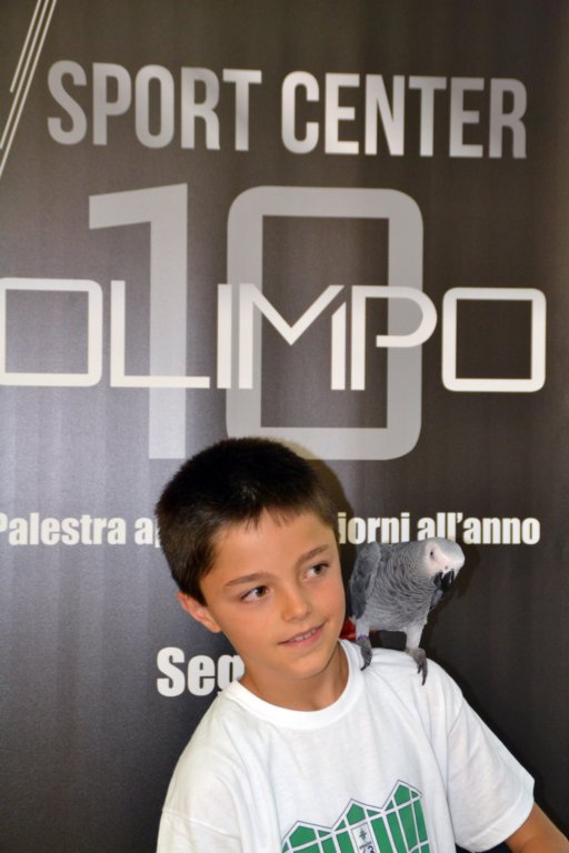 palestraolimpolandia27.jpg