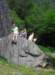 arrampicata46_small.jpg