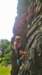 arrampicata53_small.jpg