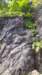 arrampicata62_small.jpg