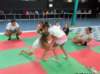 allamarna69_small.jpg