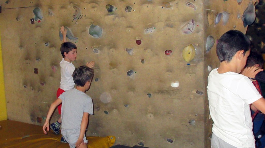 feeclimbing11.jpg