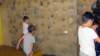 feeclimbing11_small.jpg