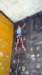 feeclimbing44_small.jpg