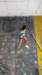 feeclimbing49_small.jpg