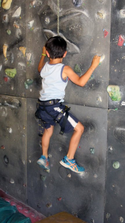 feeclimbing62.jpg