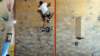 freeclimbing45_small.jpg