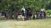 gitainbicicletta51_small.jpg