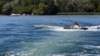 wakeboard33_small.jpg