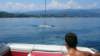 wakeboard38_small.jpg
