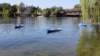 canoa2_small.jpg