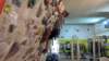 freeclimbing14_small.jpg