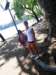 canoa18_small.jpg