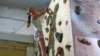 freeclimbing36_small.jpg