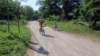 gitainbicicletta47_small.jpg