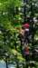 bielmonteparcoavventura11_small.jpg