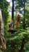 bielmonteparcoavventura12_small.jpg