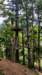 bielmonteparcoavventura8_small.jpg