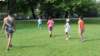 rugbyalparcoeuropa8_small.jpg