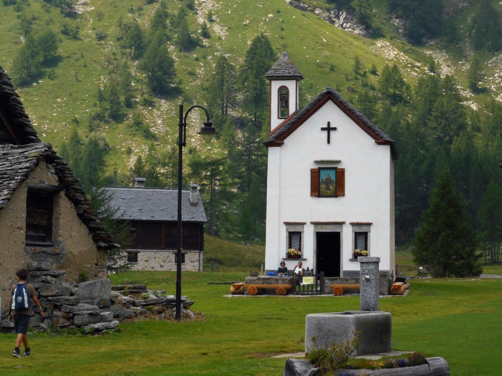 gitaaldevero72.jpg