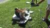 wakeboard12_small.jpg
