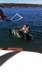 wakeboard24_small.jpg