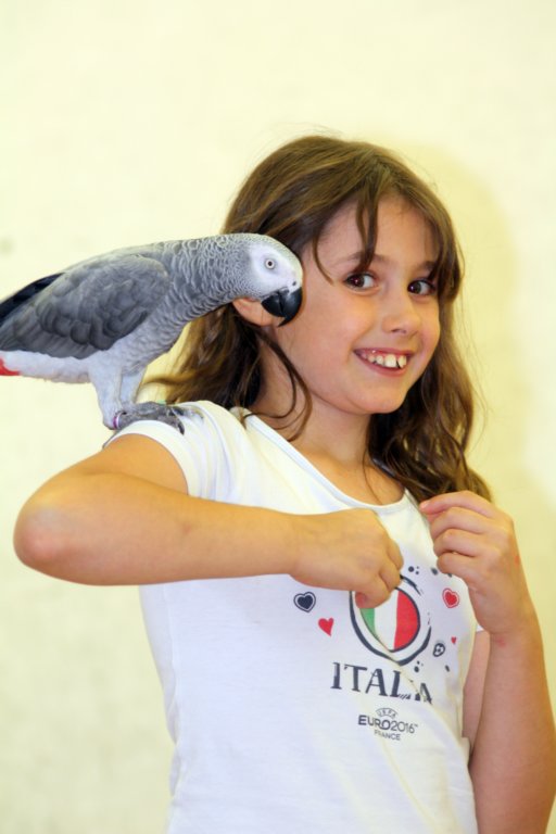 palestraolimpo44.jpg