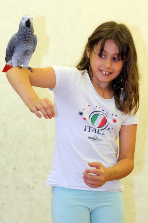 palestraolimpo45.jpg