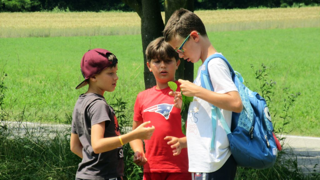 giornataecologica28.jpg