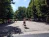 _160050_small.jpg