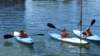 photo36_small.jpg