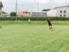 img_20220630_142926_small.jpg