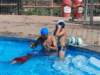 _110616_small.jpg