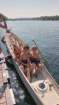 _095515_small.jpg
