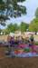 _100722_small.jpg