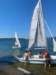 img20250703wa0044_small.jpg