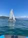 img20250703wa0073_small.jpg