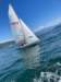 img20250703wa0080_small.jpg