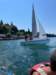 img20250703wa0096_small.jpg