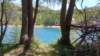 _123051_small.jpg