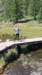 _132156_small.jpg