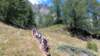 _140714_small.jpg