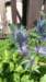 _150048_small.jpg