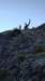 _175742_small.jpg