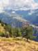img20250720wa0009_small.jpg