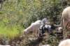 img20250720wa0021_small.jpg